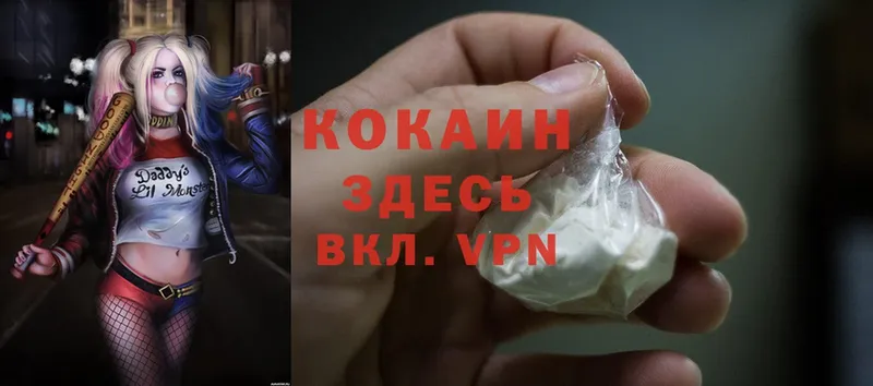 мега вход  как найти закладки  Дубовка  Cocaine Columbia 