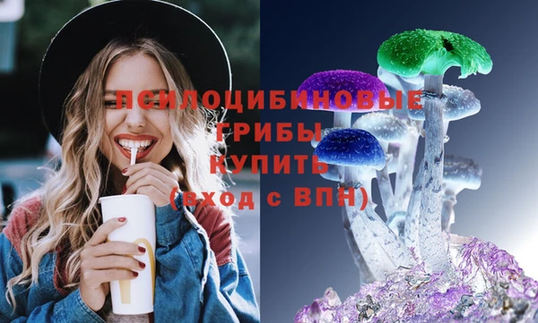 прущая мука Вяземский