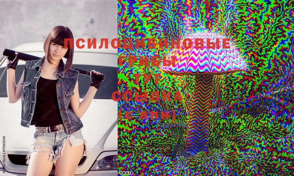 прущая мука Куйбышев