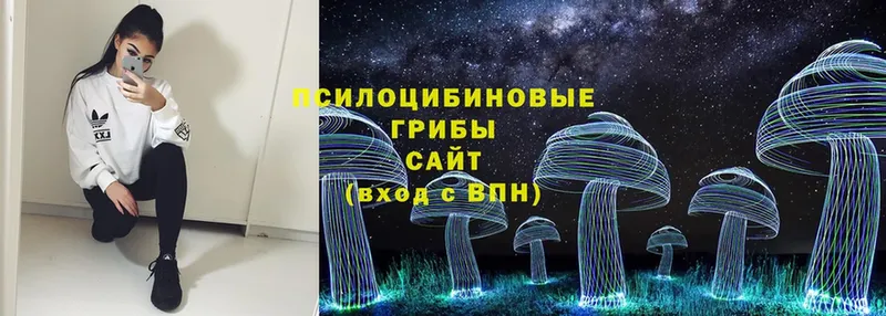 хочу наркоту  Дубовка  Галлюциногенные грибы MAGIC MUSHROOMS 