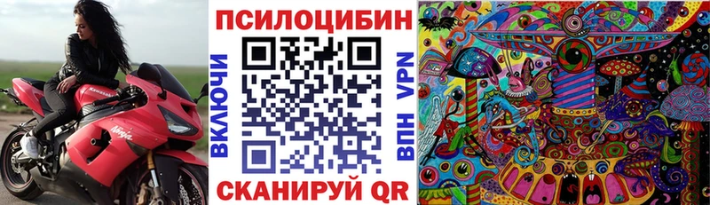 Галлюциногенные грибы GOLDEN TEACHER  наркота  Дубовка 